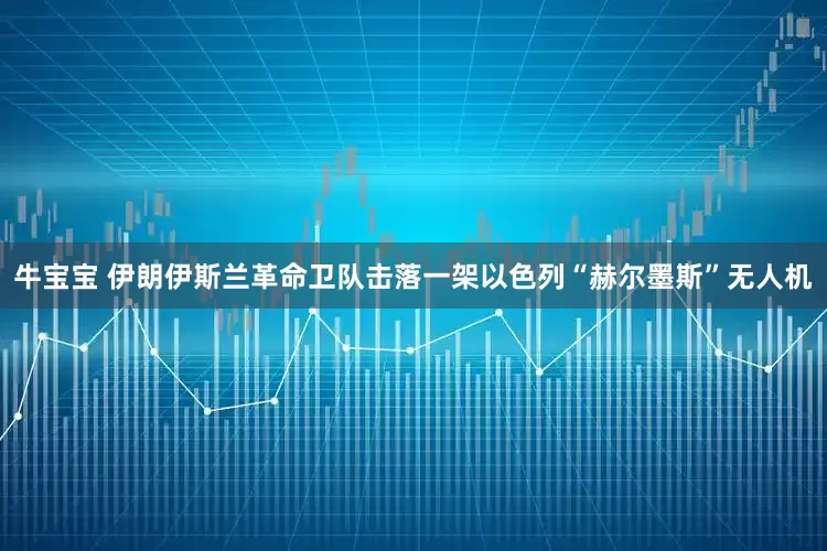 牛宝宝 伊朗伊斯兰革命卫队击落一架以色列“赫尔墨斯”无人机