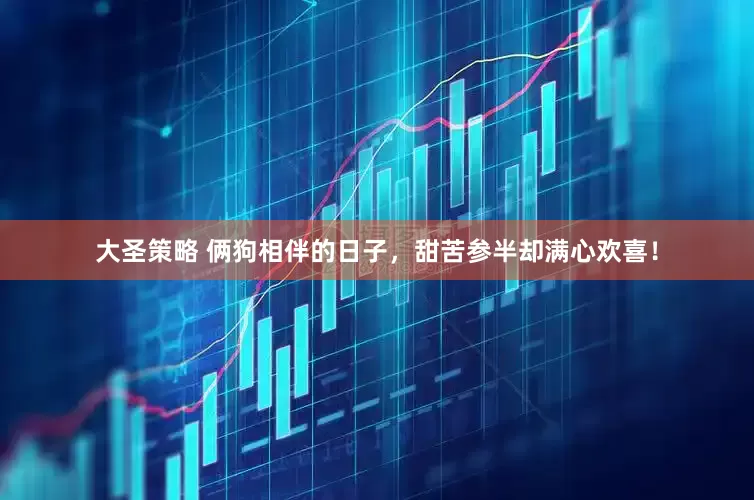 大圣策略 俩狗相伴的日子，甜苦参半却满心欢喜！