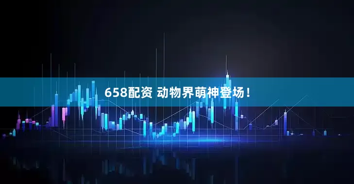 658配资 动物界萌神登场！